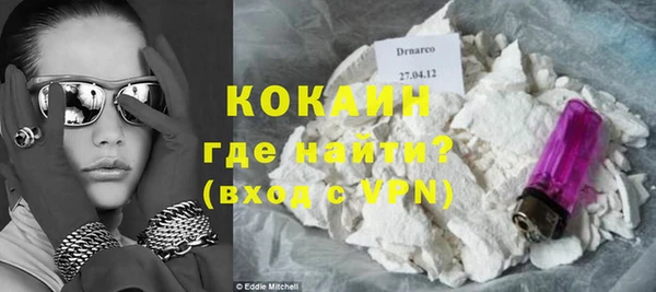 индика Надым