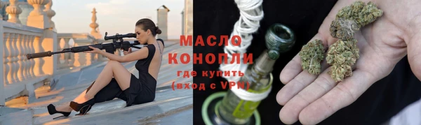 индика Надым