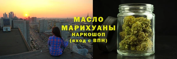 индика Надым