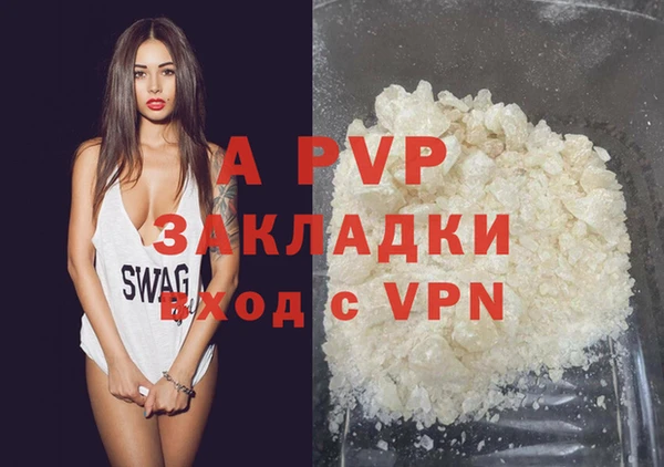 гашик Нефтекумск