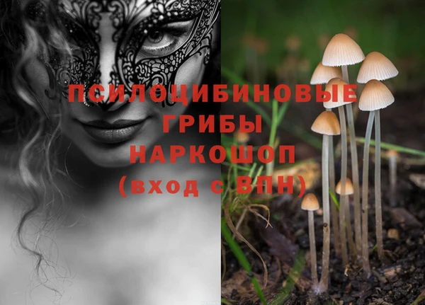 гидропоника Аша
