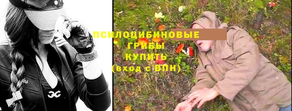 альфа пвп Нея