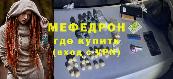 индика Надым