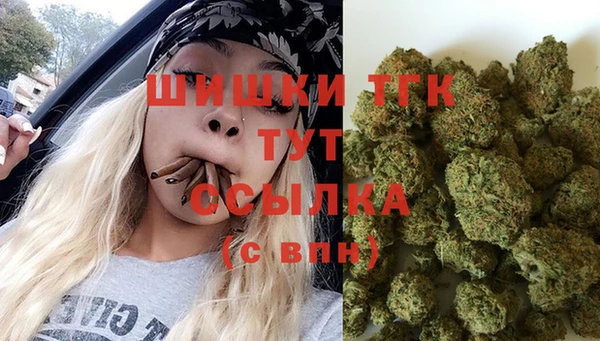 индика Надым