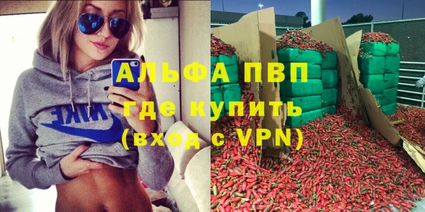 гашик Нефтекумск