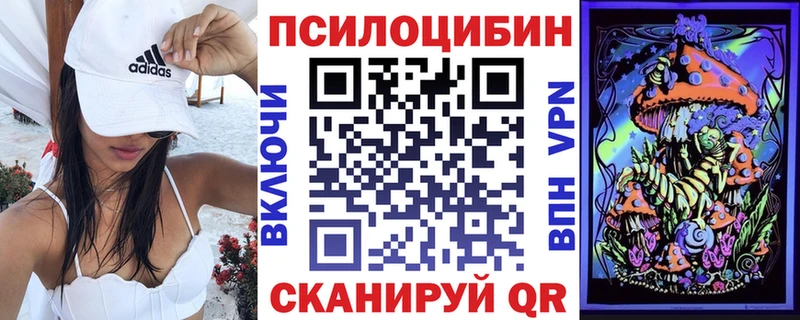 kraken маркетплейс как найти наркотики Тбилисская Псилоцибиновые грибы мицелий